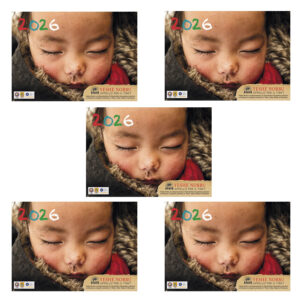 Cinque copie del Calendario Tibetano 2026